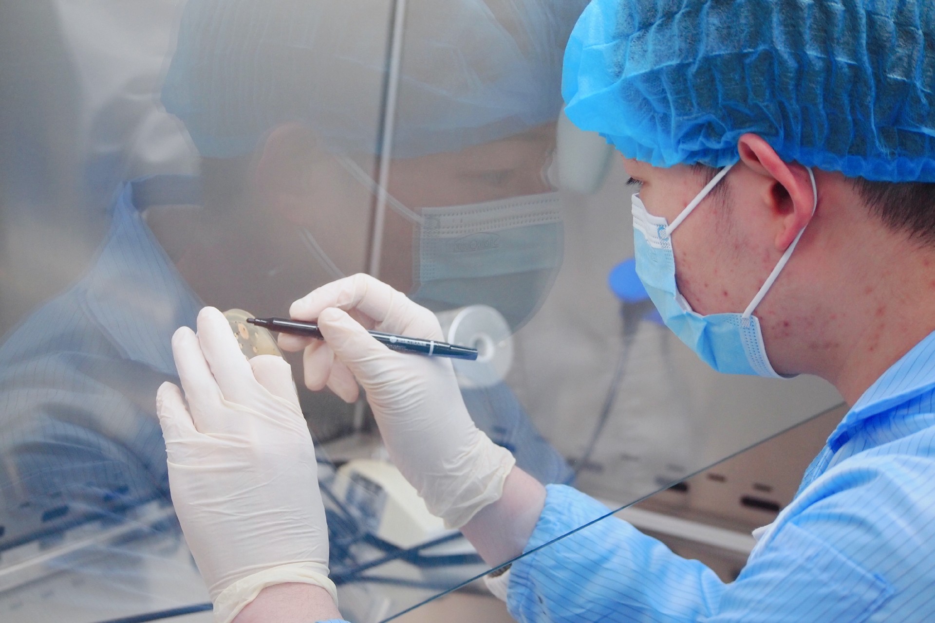 微生物测试研究